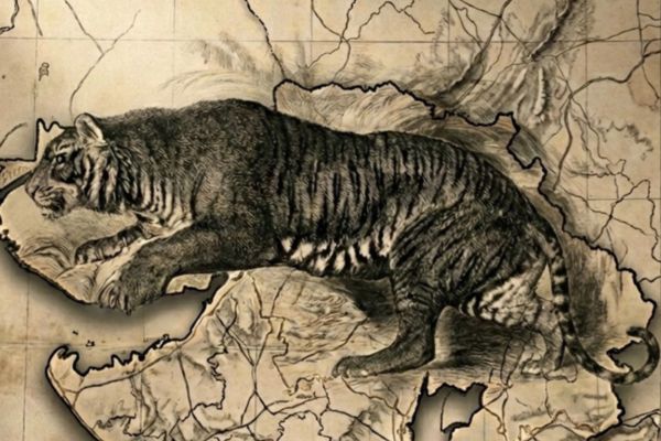 Tiger Story: Lost Stripes of Gujarat